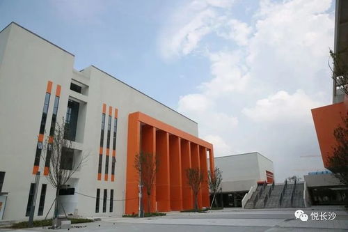 引入名校 長沙這個片區教育配套升級